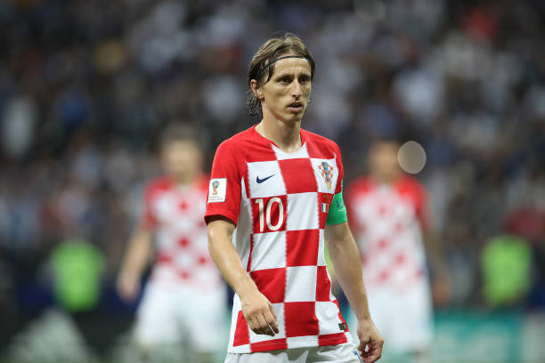 到了培养新 到了培养新