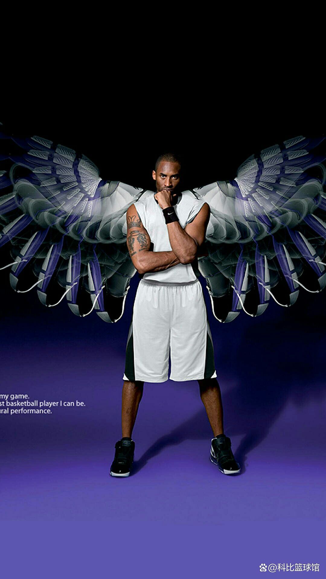 在南美市场 在南美市场